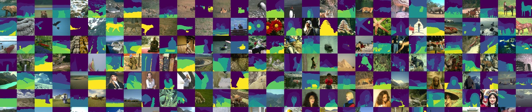 Barkley Segmentation Dataset and Benchmark