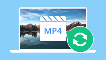 Best MP4 Converter