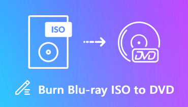 Burn Blu-ray iSO to DVD