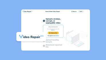 Clever Online Video Repair