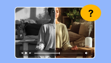 Colorize a Black and White Video