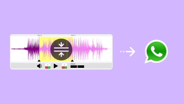 Compress Audio for WhatsApp
