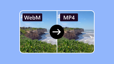 Convert WebM MP4