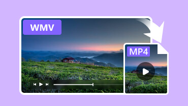 Convert Wmv to MP4-s