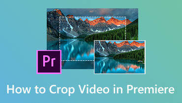 Crop Videos in Premiere