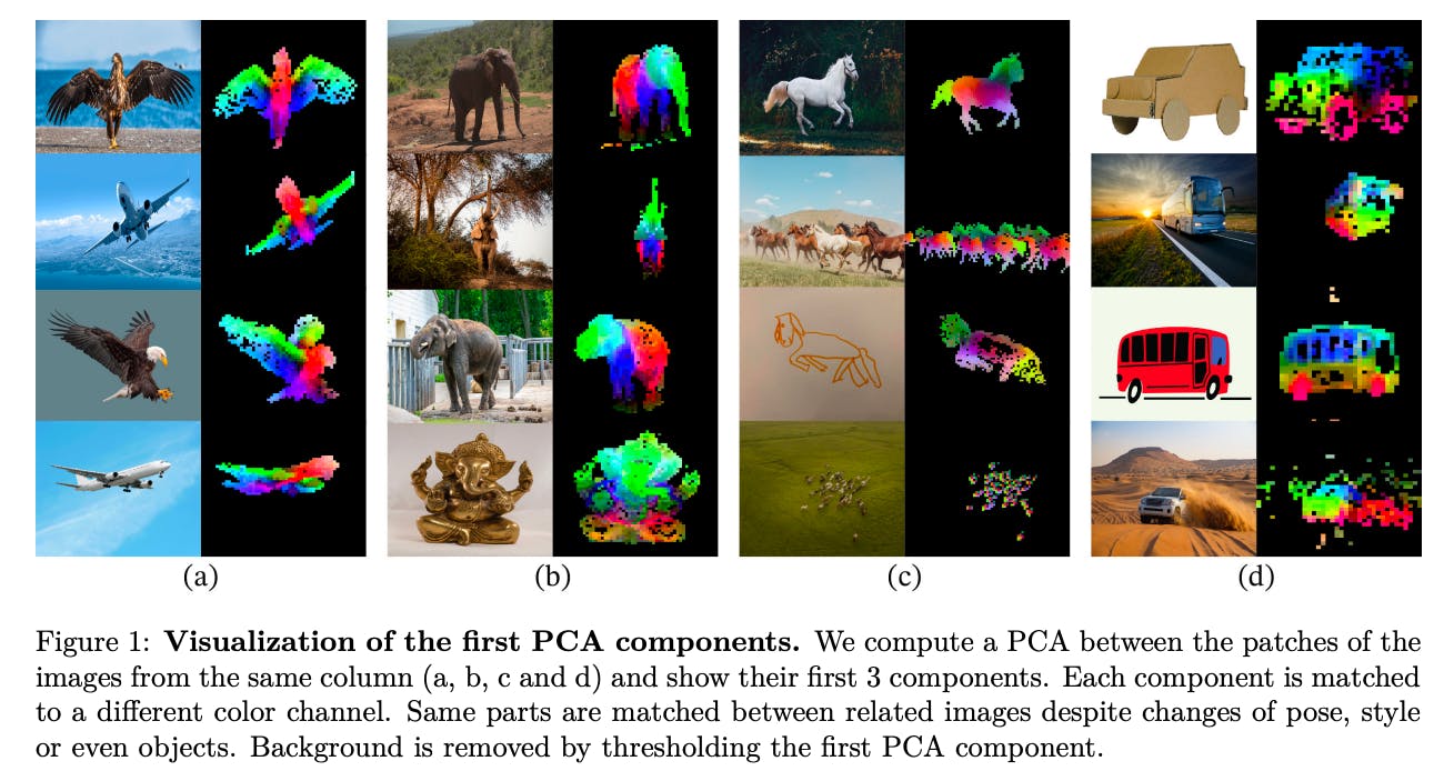 DINOv2 self-supervised learning