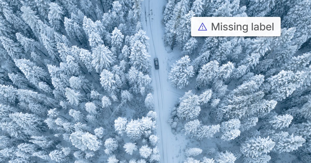 sampleImage_find-and-fix-label-errors-guide