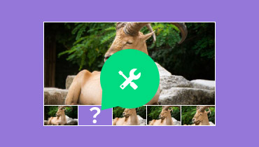 Fix Dropped Frames From Video File