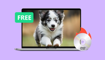 Free Dvd Burning Software