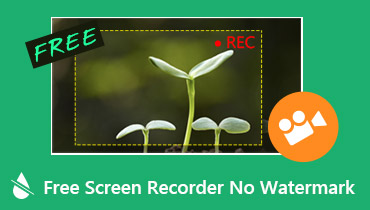 Free Screen Recorder No Watermark