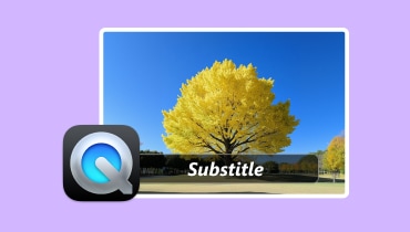 How To Put Substitle On Quicktime Player