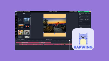 Kapwing Video Converter Alternative S