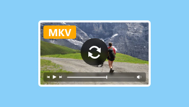 MKV Converter
