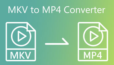 MKV to MP4 Converter