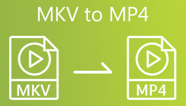 MKV to MP4