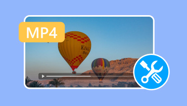 Mp4 Fixer​
