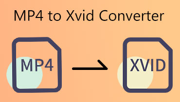MP4 to XVID Converter