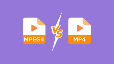MPEG-4 vs. MP4 S