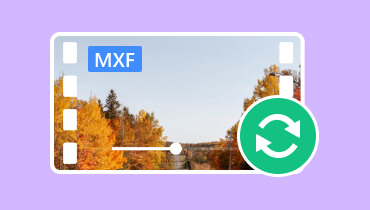 MXF Converter