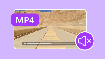 No Sound On Mp4