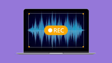 Online Voice Recorder