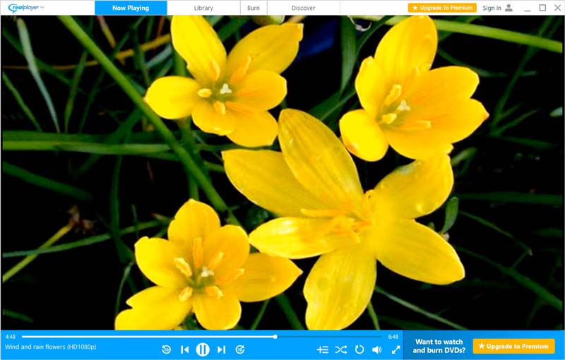 Realplayer RMVB फ़ाइलें चलाएं