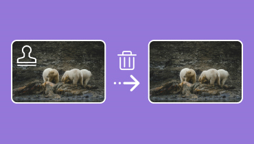 Remove Watermark From Image