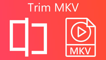 TRIM MKV