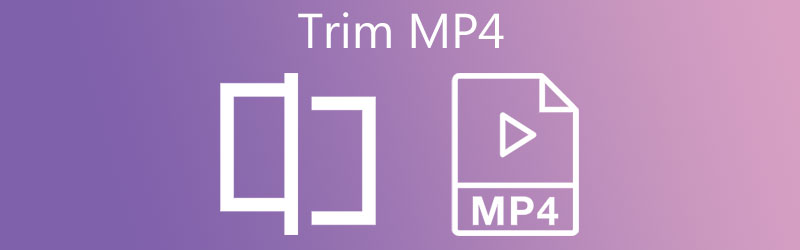 TRIM MP4