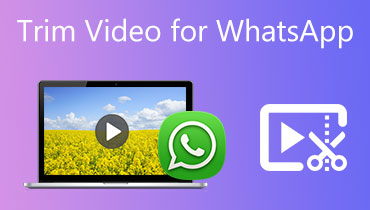 Trim Video For WhatsApp