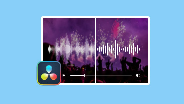 Use Davinci Resolve Noise Reduction