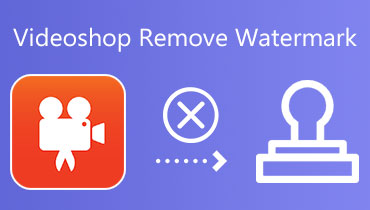 Videoshop Remove Watermark