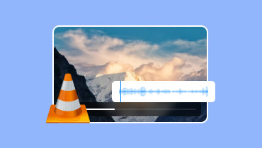 VLC Player Delay Audio