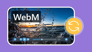 WebM Converters