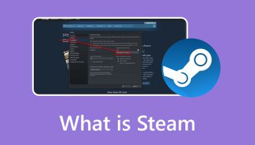 What Steam is S