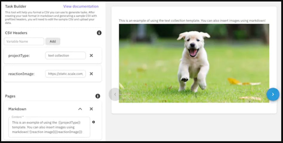 Screenshot of Scale Rapid's data labeling tool labeling image of dog