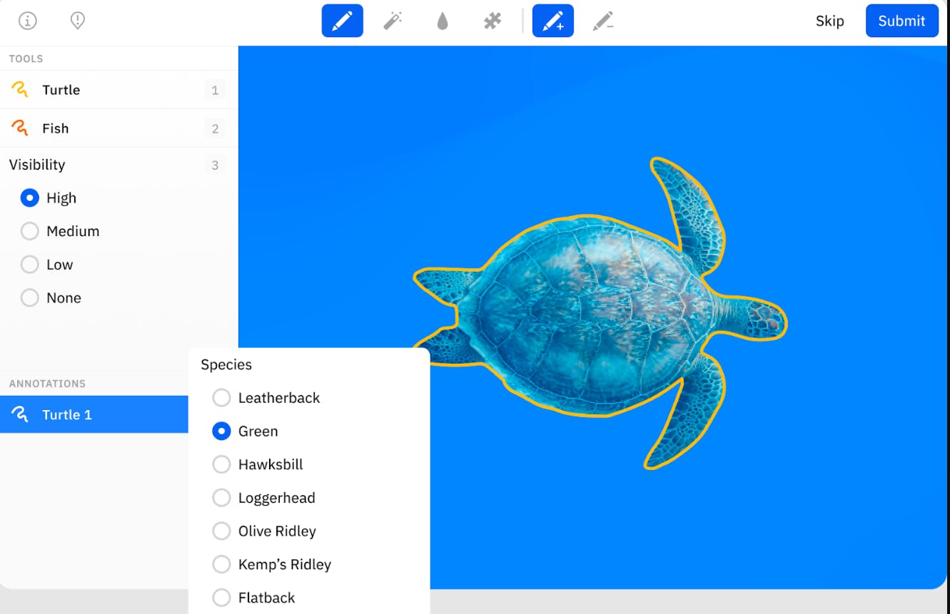 Screenshot of Labelbox's data annotation platform labeling a sea turtle in the ocean
