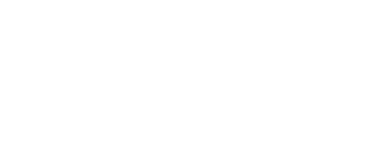 vida