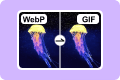 WebP to GIF
